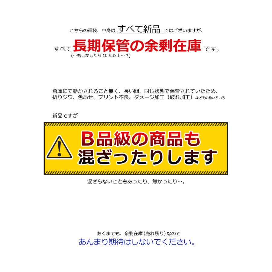 ARUGE トップス5枚入福袋 ハイリスク 半袖 長袖 いろいろ詰め合わせ B 
