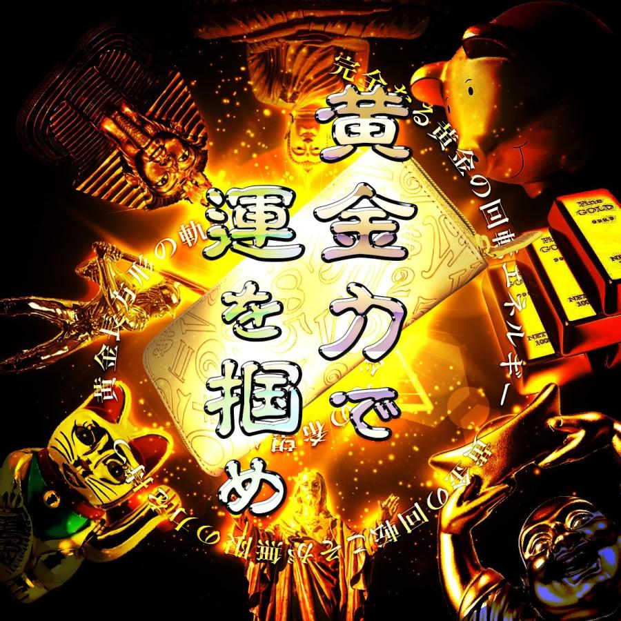 フランク三浦 財布 長財布 開運祈願 金運アップ 風水 ビックマネーゴールド 奇跡の財布 21年モデル Fms01 Gd セレクトショップ Number11 通販 Yahoo ショッピング