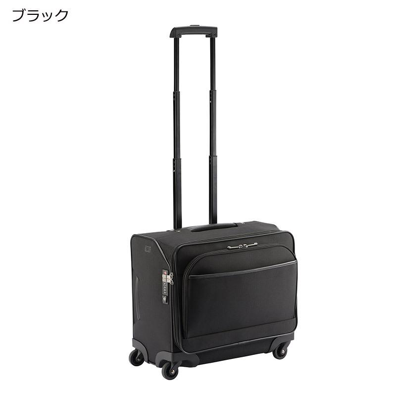 ace. エース GENE フレックスルーフ2 TR 67571 ソフトキャリー