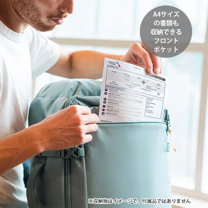 【PSA10】FAB PATH WELL TRAVELED 誰もが通った道 似通った生命 (Parallel Lives) · Innistrad (ISD) #199