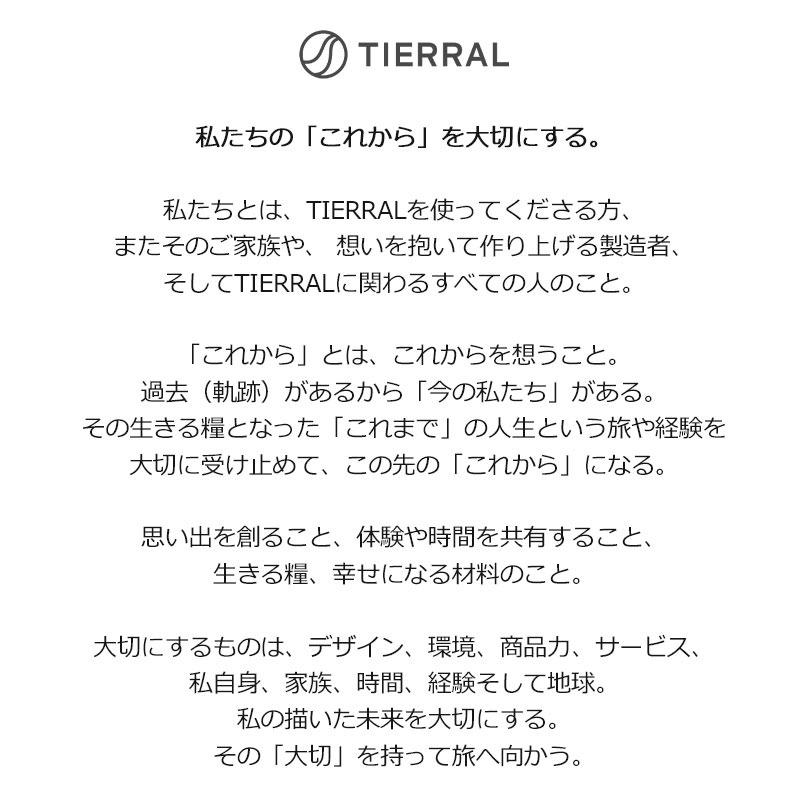 ティエラル スーツケース フォルマ Lサイズ 拡張 ストッパー 97-107L Forma L TFRM*003 1年保証 TIERRAL 正規販売_17