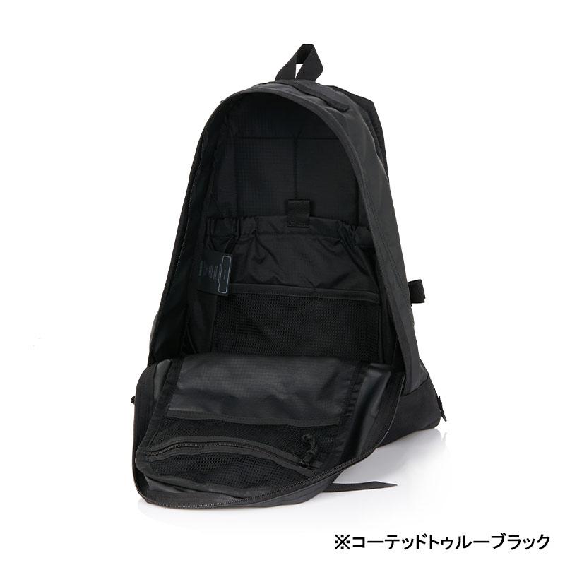 GREGORY（グレゴリー） ファインデイ V2 メンズ レディース 国内正規品