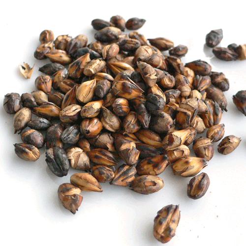 粒麦茶 農薬不使用 浅煎り 200g |  | 01