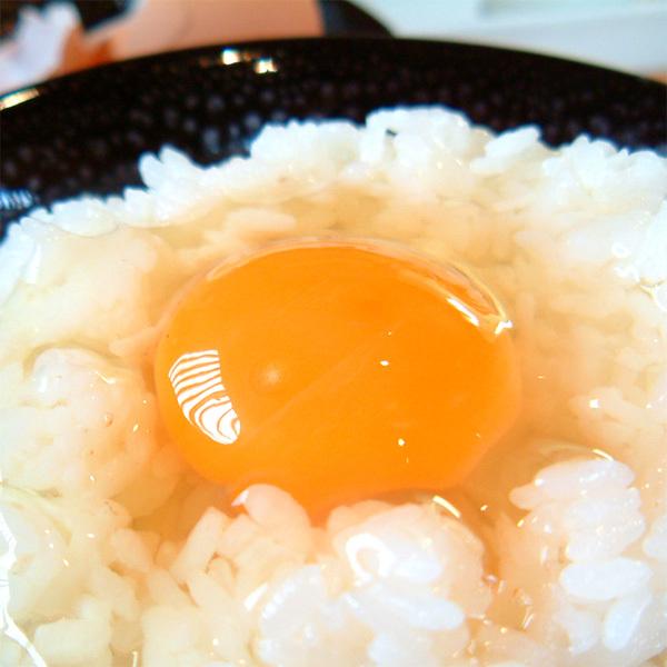 卵かけご飯醤油 但熊オリジナル たまごかけごはん 専用醤油