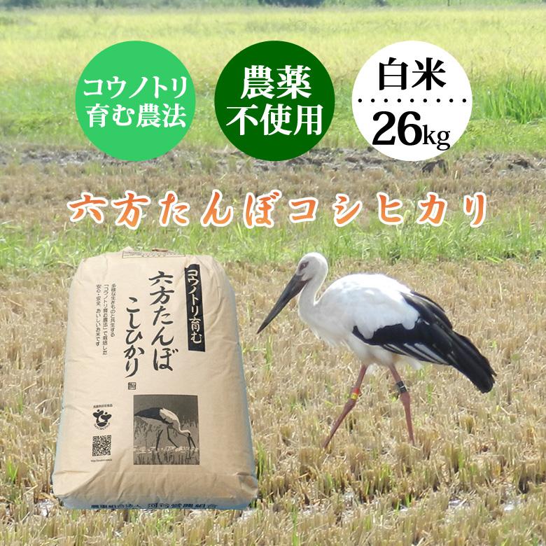 新米 コシヒカリ 白米 26kg 農薬不使用 令和5年産 こうのとり米 送料無料 兵庫県産