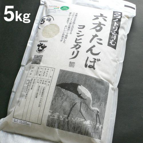 玄米 農薬不使用 コシヒカリ5kg 令和5年産 こうのとり米 送料無料 兵庫県産｜arumama｜02