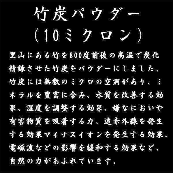 竹炭パウダー 食用 500g 炭 チャコール 竹炭 クレンズ 黒いお菓子・スイーツ作り 黒色 着色料 Bamboo Black 業務用 兵庫県産 スタンドパック 送料無料 |  | 02