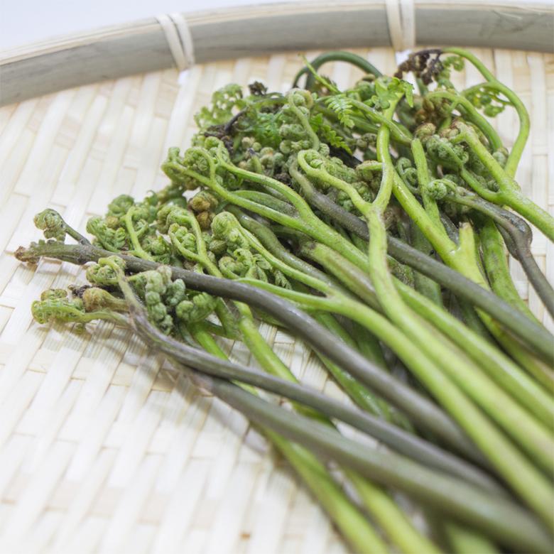 灰 木灰 400g 山菜 栃の実 あく抜き 火鉢 いろり 釉薬 媒染剤 神鍋白炭工房 Kh Hai 500 あるまま 通販 Yahoo ショッピング