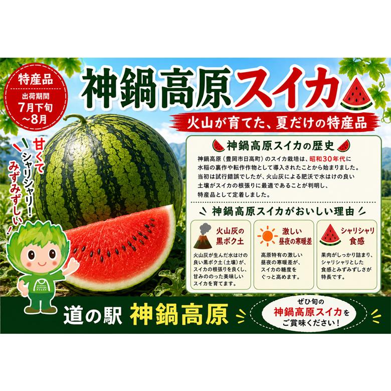 510千葉県産富里大玉スイカ紅まくらC品3Lサイズ1箱2玉入り 紅まくら 2玉（2L）神鍋高原すいか 高級 大玉 スイカ 送料無料 : ある