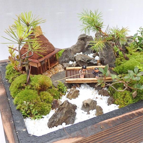 母の日 盆栽 ミニ庭園 盆景 川床 M Ky Kawadoko M あるまま 通販 Yahoo ショッピング