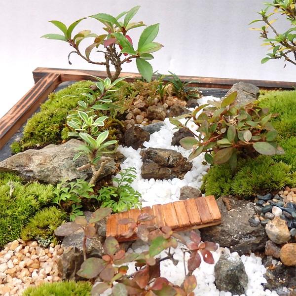 敬老の日 盆栽 ミニ庭園 盆景 薪割り L Ky Makiwari L あるまま 通販 Yahoo ショッピング