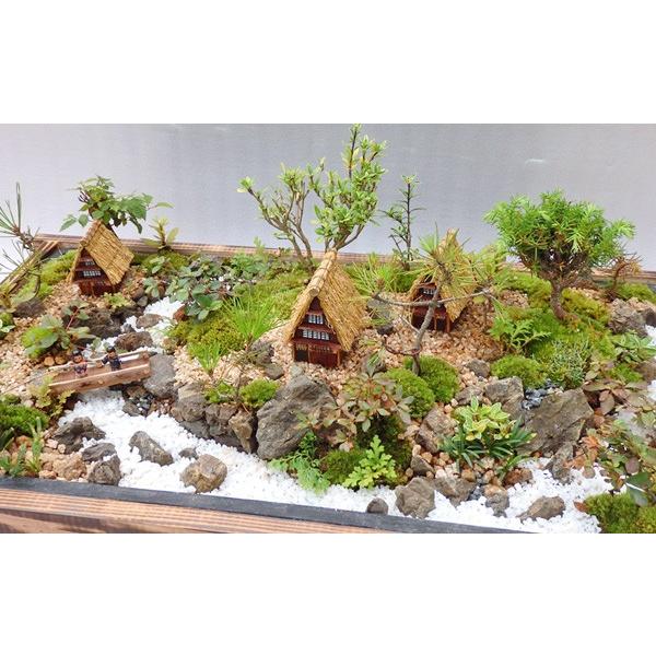 敬老の日 盆栽 ミニ庭園 盆景 茅葺の里 L Ky Sirakawa L あるまま 通販 Yahoo ショッピング