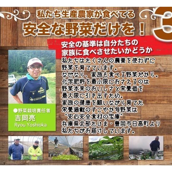 青ナス 青那須 農薬90％カット 特別栽培【500g】｜arumama｜08