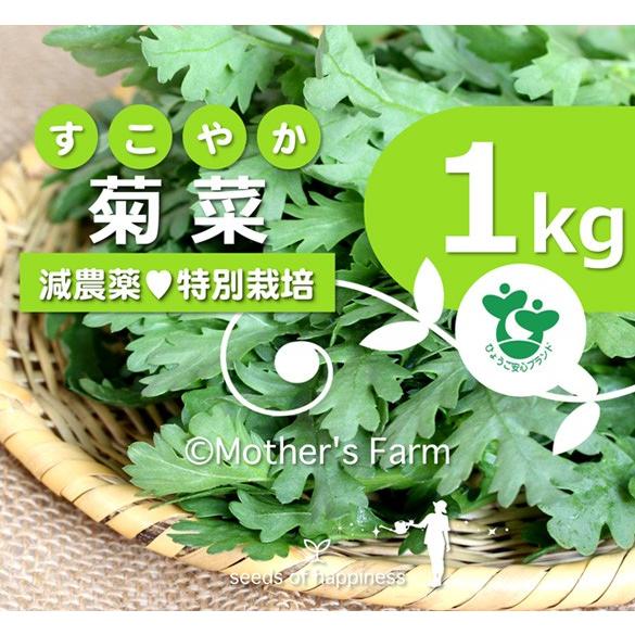 菊菜 きくな 春菊 農薬90 カット 特別栽培 1kg Mf Cd 1k あるまま 通販 Yahoo ショッピング