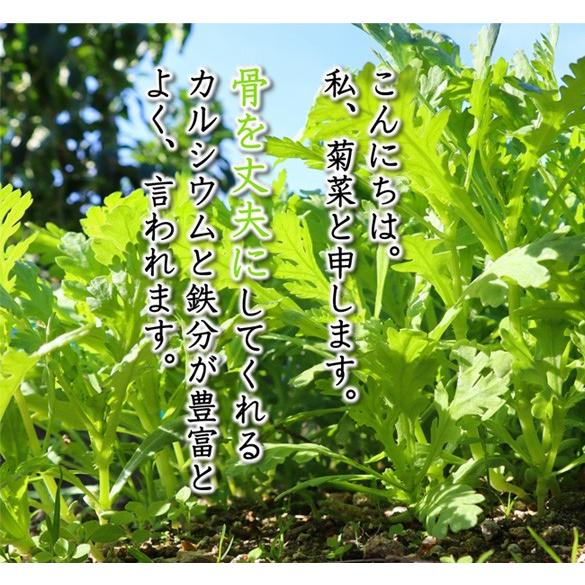 菊菜 きくな 春菊 農薬90 カット 特別栽培 1kg Mf Cd 1k あるまま 通販 Yahoo ショッピング