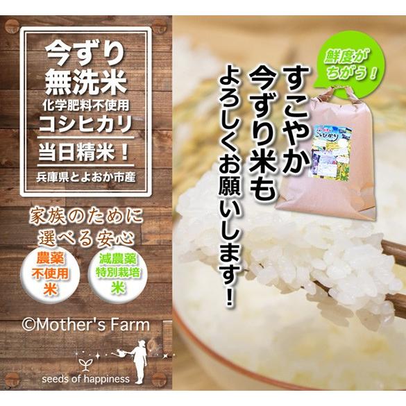 菊菜 きくな 春菊 農薬90 カット 特別栽培 1kg Mf Cd 1k あるまま 通販 Yahoo ショッピング