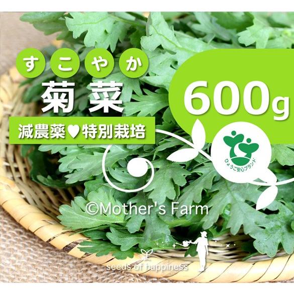 菊菜 きくな 春菊 農薬90 カット 特別栽培 600g Mf Cd 600 あるまま 通販 Yahoo ショッピング