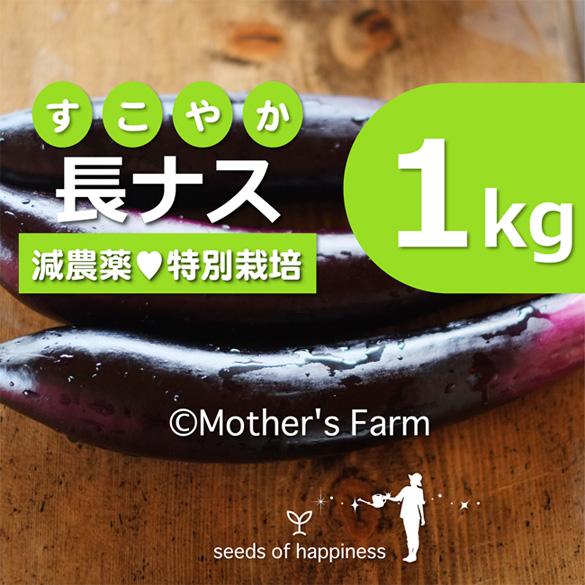 長ナス 長那須 農薬90 カット 特別栽培 1kg Mf Ep 1k あるまま 通販 Yahoo ショッピング