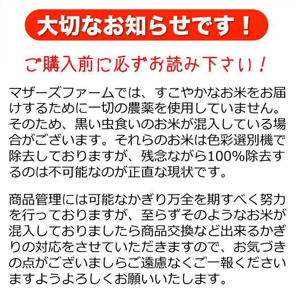 無洗米 お米 10kg 玄米 白米 今ずり米 農薬不使用 コシヒカリ 令和7年産 送料無料 ＼クーポン有／_10