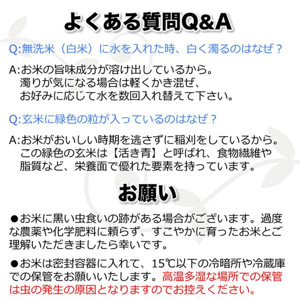 無洗米 お米 10kg 玄米 白米 今ずり米 農薬不使用 コシヒカリ 令和7年産 送料無料 ＼クーポン有／_11
