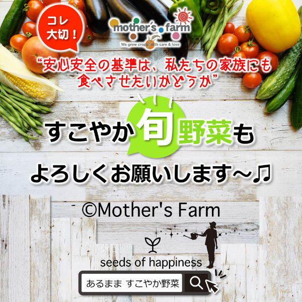 無洗米 お米 10kg 玄米 白米 今ずり米 農薬不使用 コシヒカリ 令和7年産 送料無料 ＼クーポン有／_14