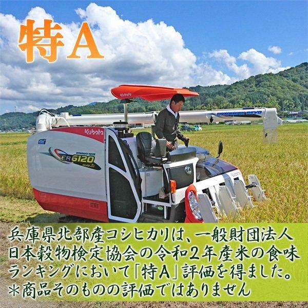 無洗米 お米 10kg 玄米 白米 今ずり米 農薬不使用 コシヒカリ 令和7年産 送料無料 ＼クーポン有／_15