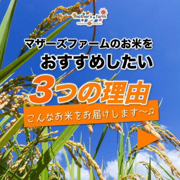 無洗米 玄米 白米 10kg 今ずり米 農薬不使用 コシヒカリ 令和5年産 送料無料｜arumama｜04