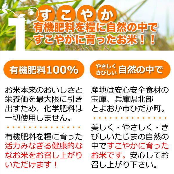 無洗米 お米 10kg 玄米 白米 今ずり米 農薬不使用 コシヒカリ 令和7年産 送料無料 ＼クーポン有／_4