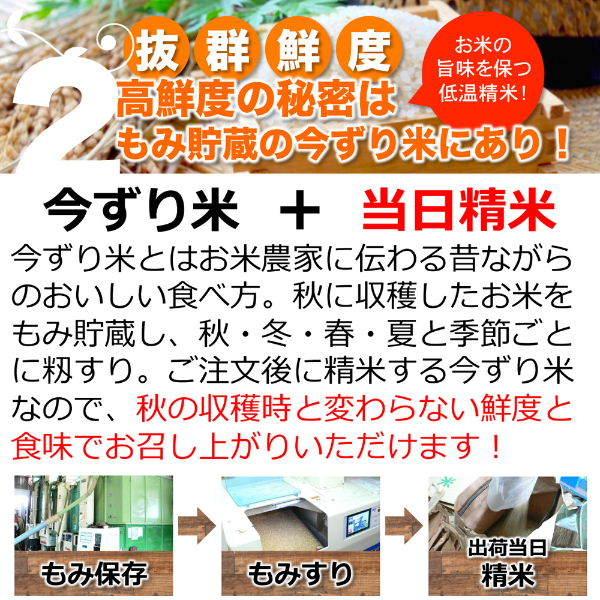 無洗米 お米 10kg 玄米 白米 今ずり米 農薬不使用 コシヒカリ 令和7年産 送料無料 ＼クーポン有／_5