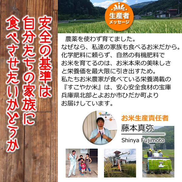 無洗米 玄米 白米 10kg 今ずり米 農薬不使用 コシヒカリ 令和5年産 送料無料｜arumama｜09