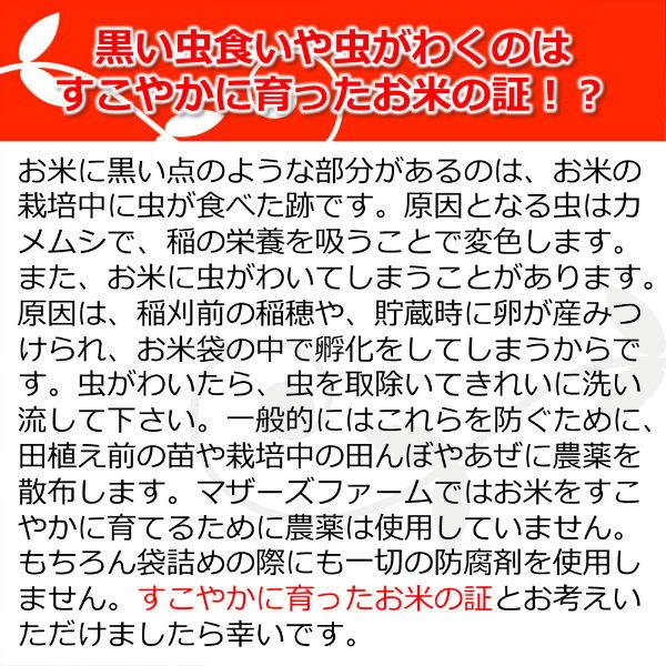 無洗米 お米 10kg 玄米 白米 今ずり米 農薬不使用 コシヒカリ 令和7年産 送料無料 ＼クーポン有／_9