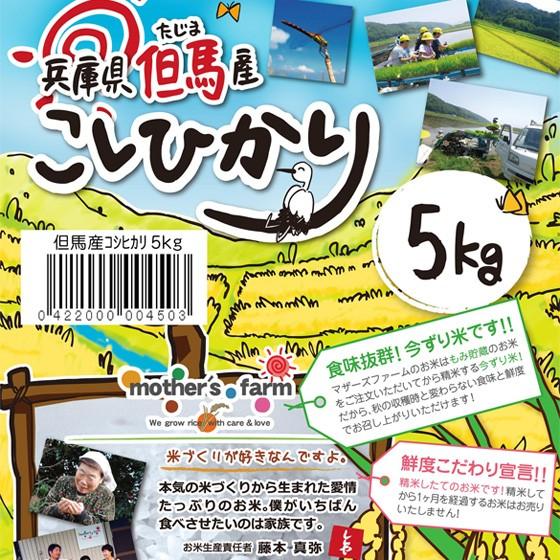 無洗米 お米 5kg 玄米 白米 今ずり米 農薬不使用 コシヒカリ 令和7年産 送料無料 ＼クーポン有／ | コシヒカリ | 02