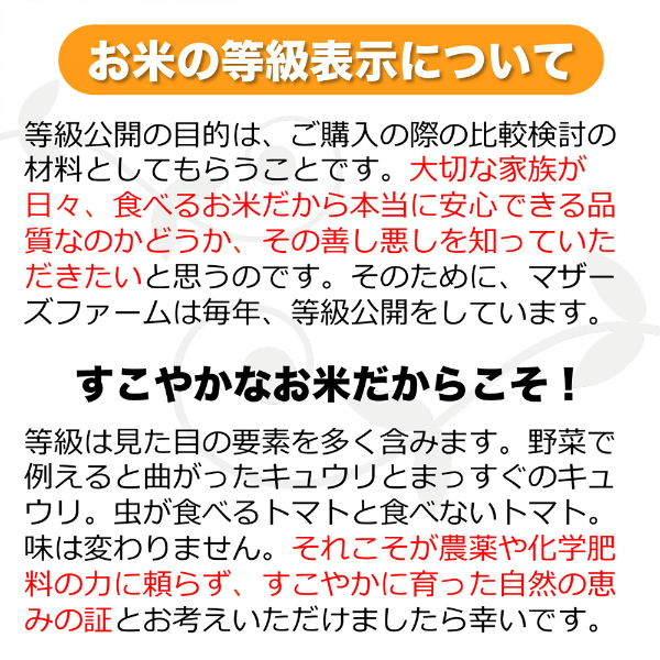 無洗米 お米 5kg 玄米 白米 今ずり米 農薬不使用 コシヒカリ 令和7年産 送料無料 ＼クーポン有／ | コシヒカリ | 08
