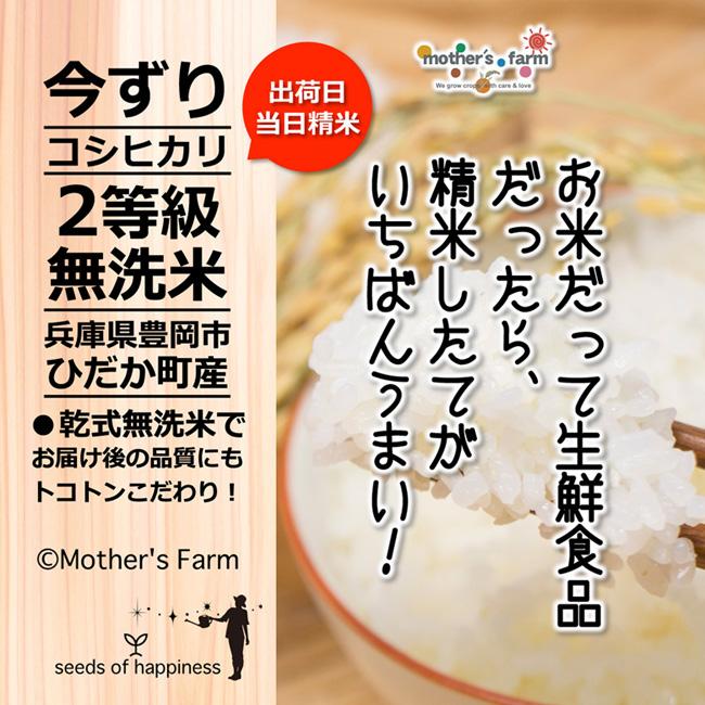 無洗米 3合 コシヒカリ お試し 白米 令和5年産 今ずり米 特別栽培米 送料無料 ポイント消化｜arumama｜12