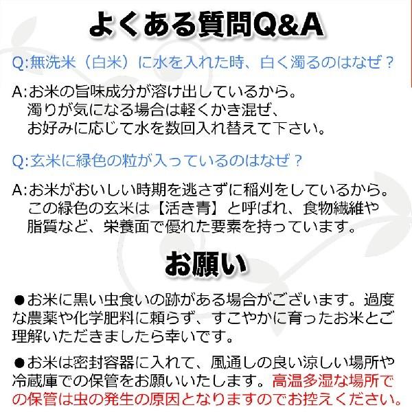 無洗米 3合 コシヒカリ お試し 白米 令和5年産 今ずり米 特別栽培米 送料無料 ポイント消化｜arumama｜13