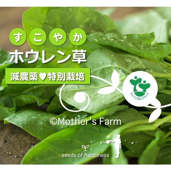 旬の葉野菜 各３束セット 農薬90％カット 特別栽培｜arumama｜02