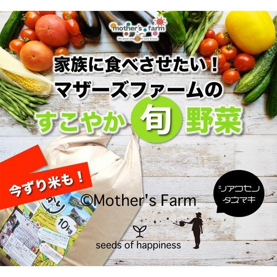 旬の葉野菜 各３束セット 農薬90％カット 特別栽培｜arumama｜10