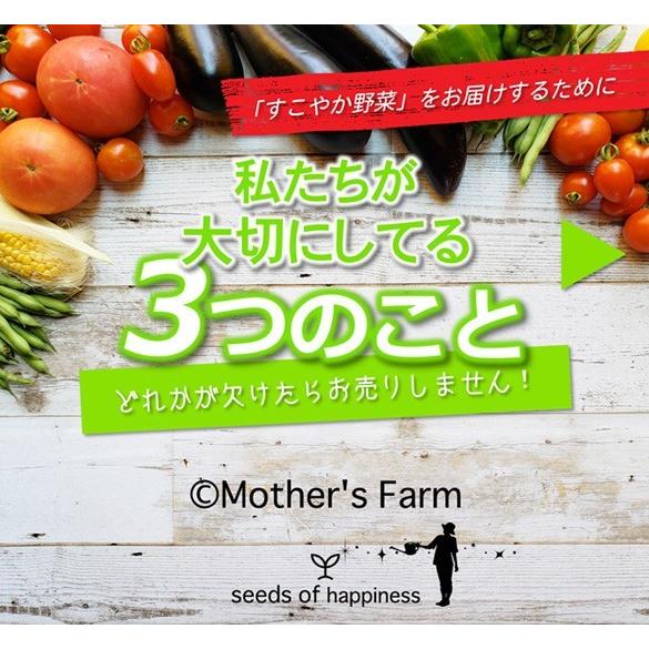 旬の葉野菜 各５束セット 農薬90％カット 特別栽培｜arumama｜12