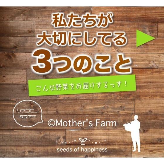 モロヘイヤ 農薬90％カット 特別栽培【500g】｜arumama｜05