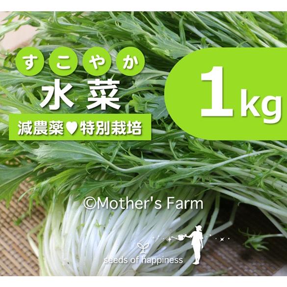 水菜 農薬90 カット 特別栽培 1kg Mf Pm 1k あるまま 通販 Yahoo ショッピング