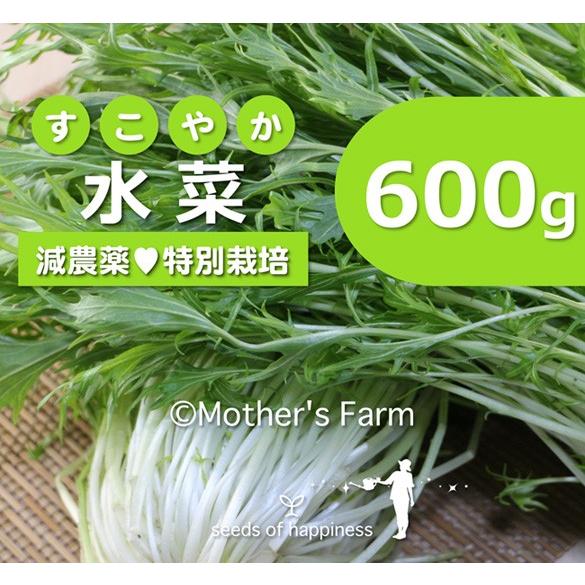 正規品質保証 水菜 農薬90 カット 特別栽培 600g