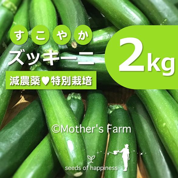 ズッキーニ 2kg 農薬90％カット 特別栽培 送料無料