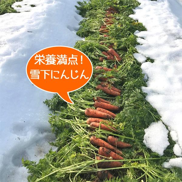 父の日 人参ジュース 720ml（2本）有機JAS 雪下にんじん 彩誉 あやほまれ 農薬不使用 ギフト プレゼント |  | 03