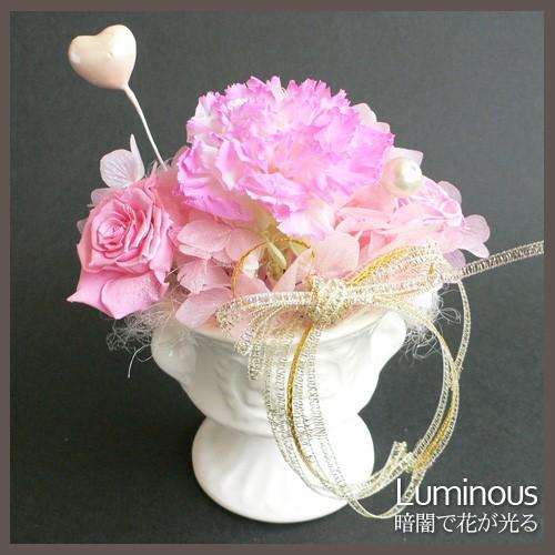 カーネーション