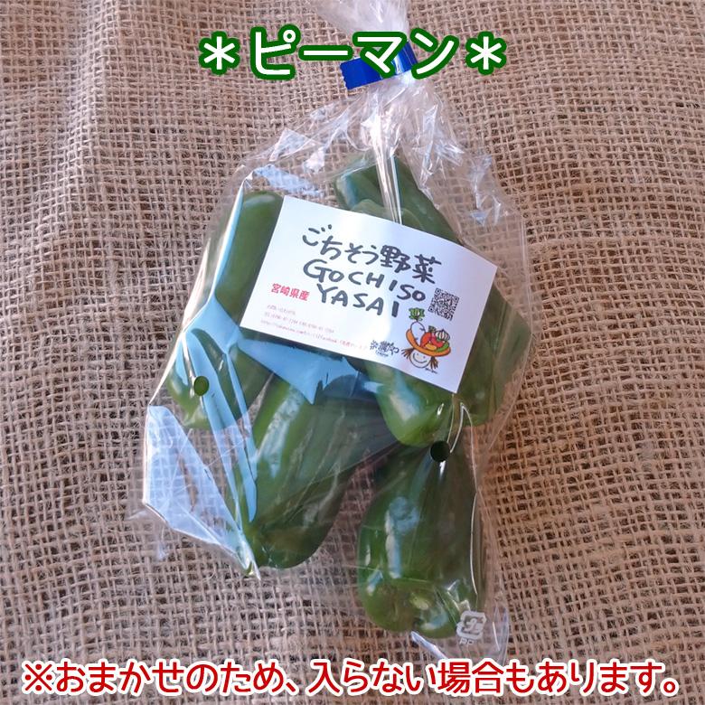 野菜セット 詰め合わせ お試し ごちそう野菜 農薬不使用 特別