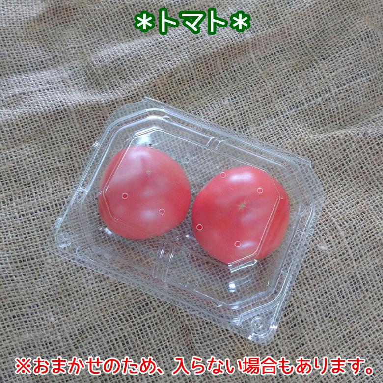 野菜セット 詰め合わせ お試し ごちそう野菜 農薬不使用 特別