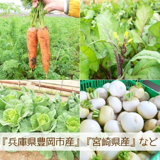 野菜セット 詰め合わせ 納得セット 但馬産 農薬不使用 宮崎産 特別栽培 旬野菜 不揃い 送料無料 楽農や 8〜10品 |  | 08