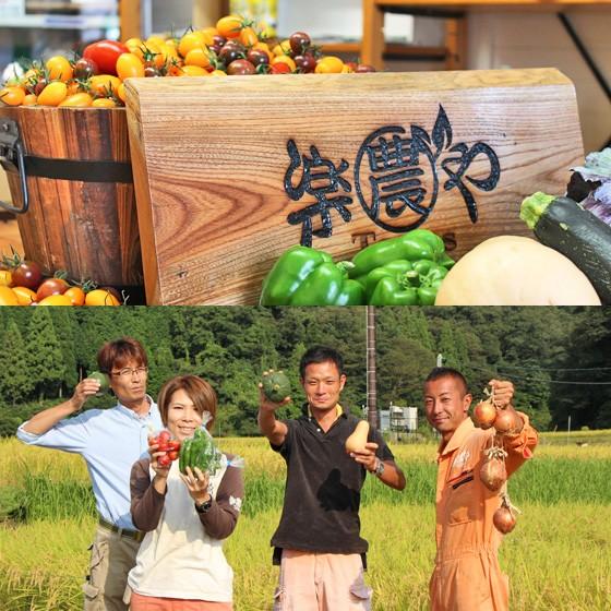 野菜セット 詰め合わせ 納得セット 但馬産 農薬不使用 宮崎産 特別栽培 旬野菜 不揃い 送料無料 楽農や 8〜10品 |  | 09