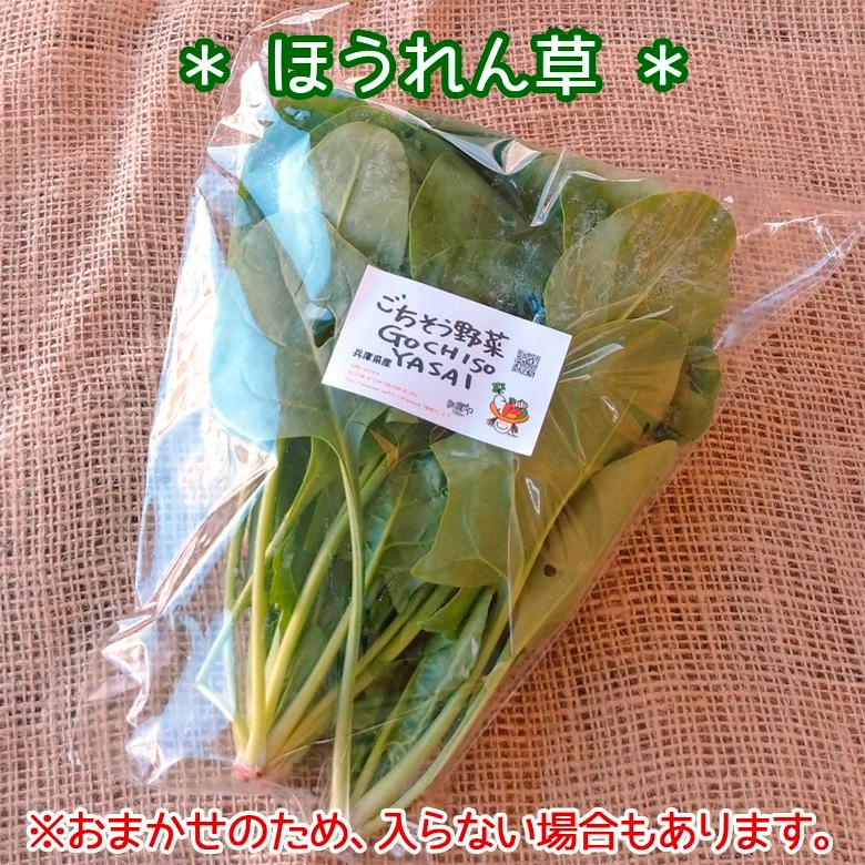 野菜セット 詰め合わせ 納得セット 但馬産 農薬不使用 宮崎産 特別栽培 旬野菜 不揃い 送料無料 楽農や 8〜10品 |  | 01