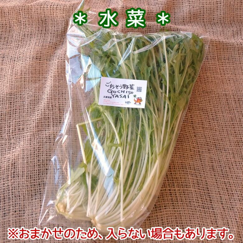 野菜セット 詰め合わせ 納得セット 但馬産 農薬不使用 宮崎産 特別栽培 旬野菜 不揃い 送料無料 楽農や 8〜10品 |  | 04